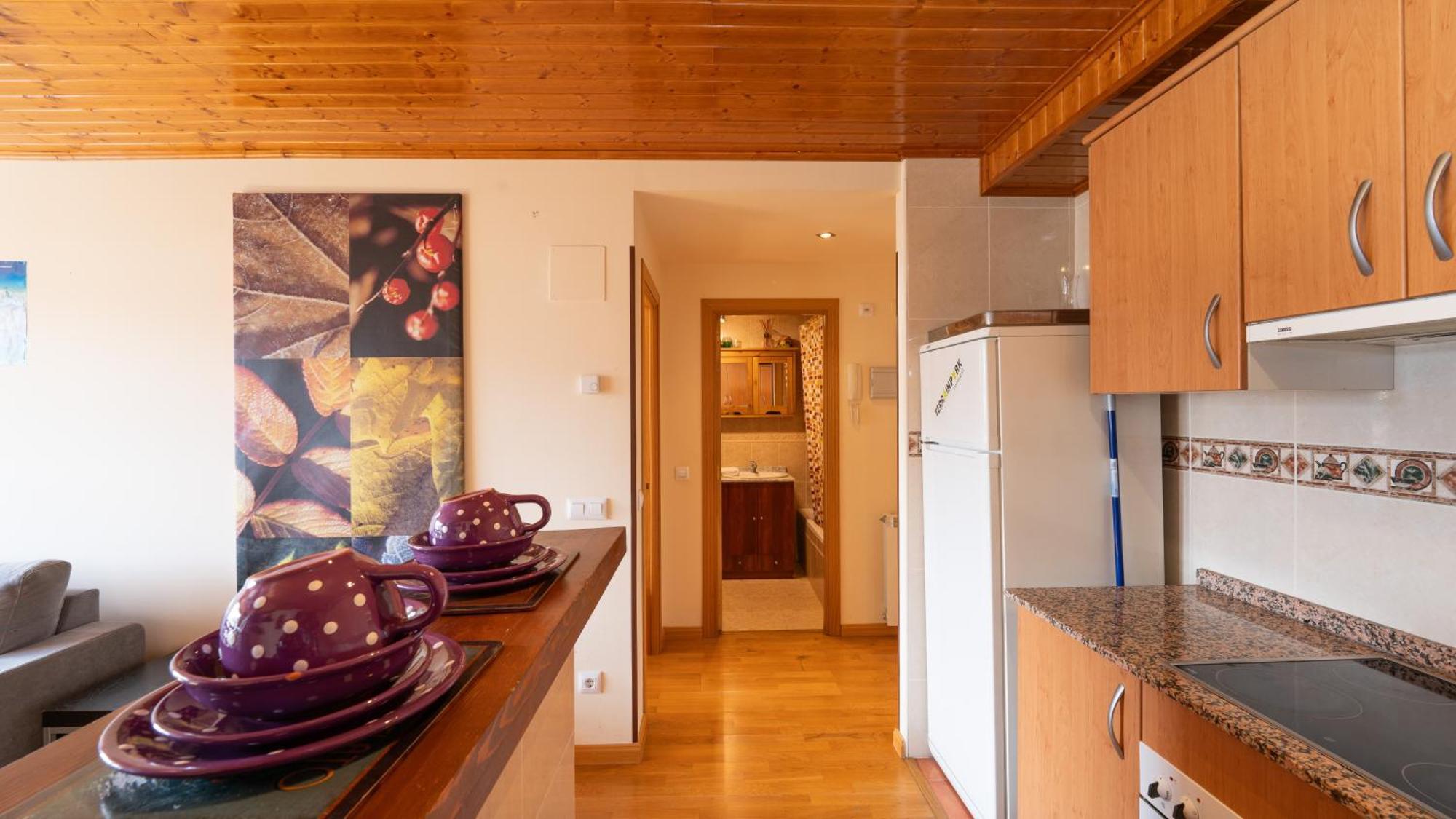 Apartamento Inmobiliaria Formigal - admite mascotas Exterior foto